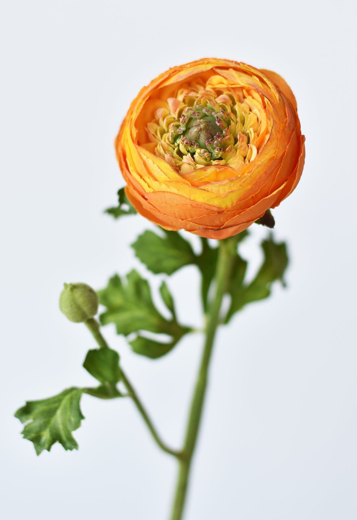 13" Faux Orange Ranunculus Stem (Online exclusive)