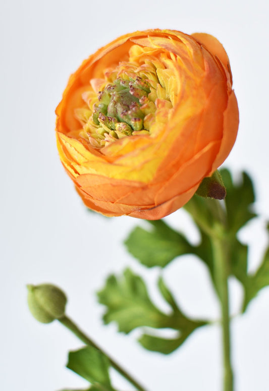 13" Faux Orange Ranunculus Stem (Online exclusive)