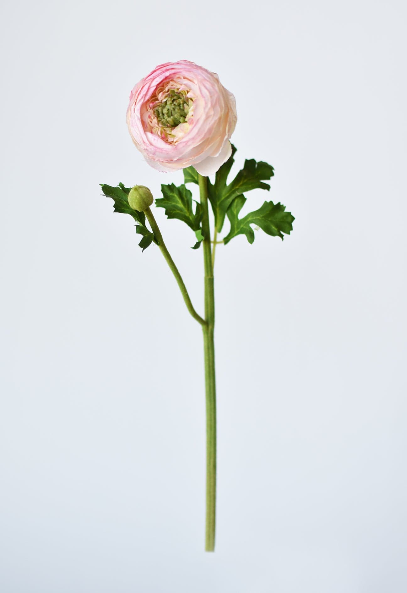 13" Faux Blush Ranunculus Stem (Online exclusive)