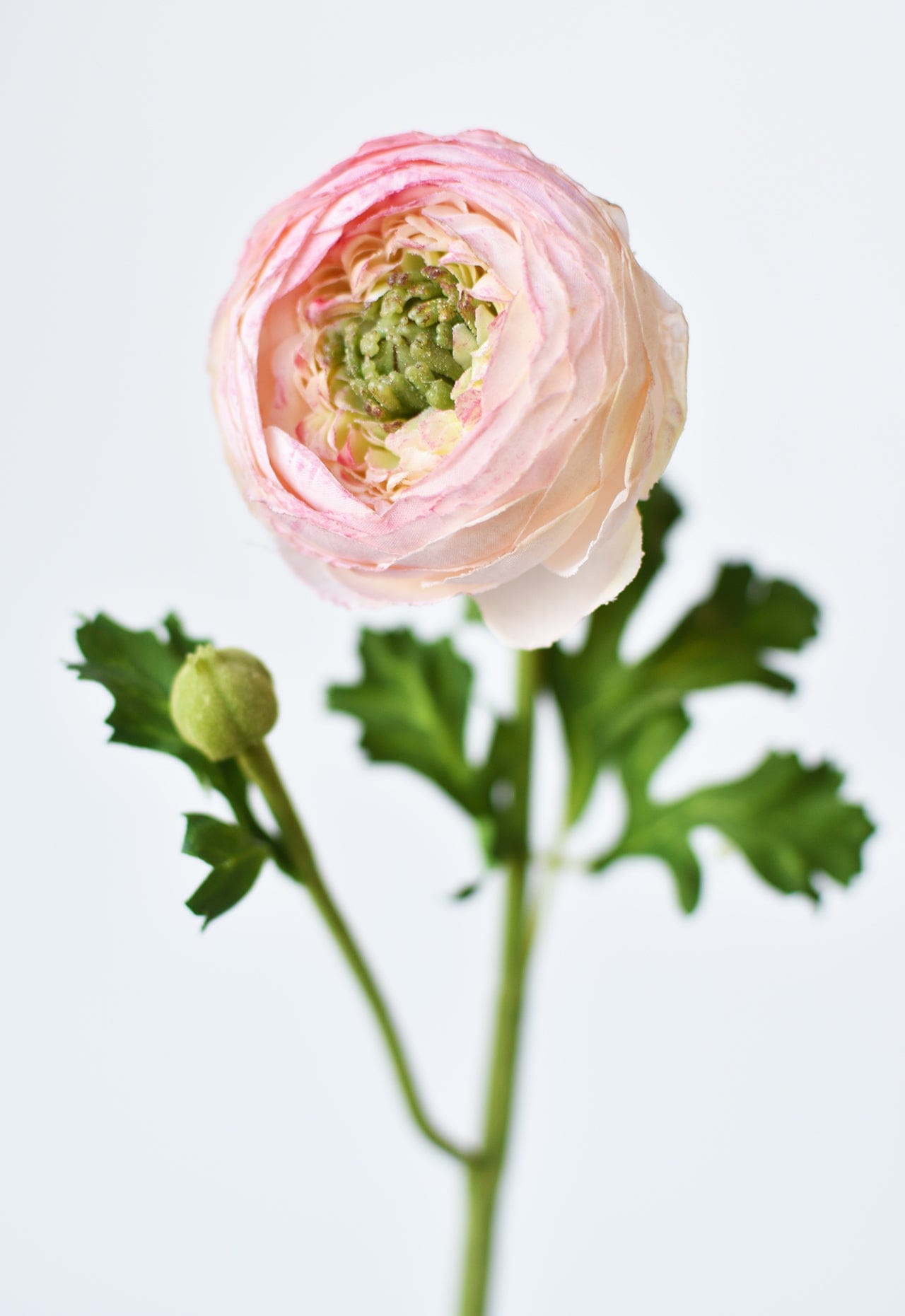 13" Faux Blush Ranunculus Stem (Online exclusive)