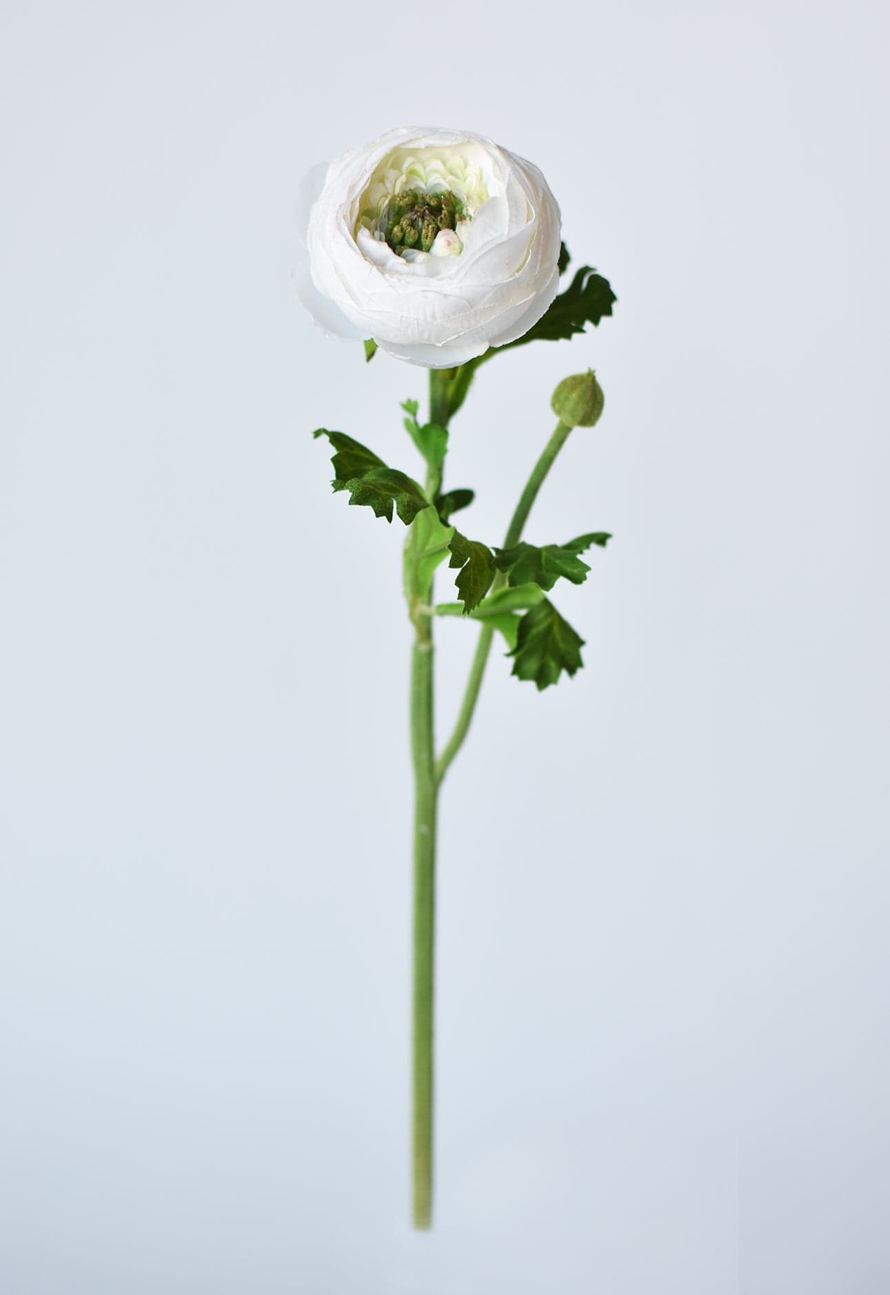 13" Faux White Ranunculus Stem (online exclusive)