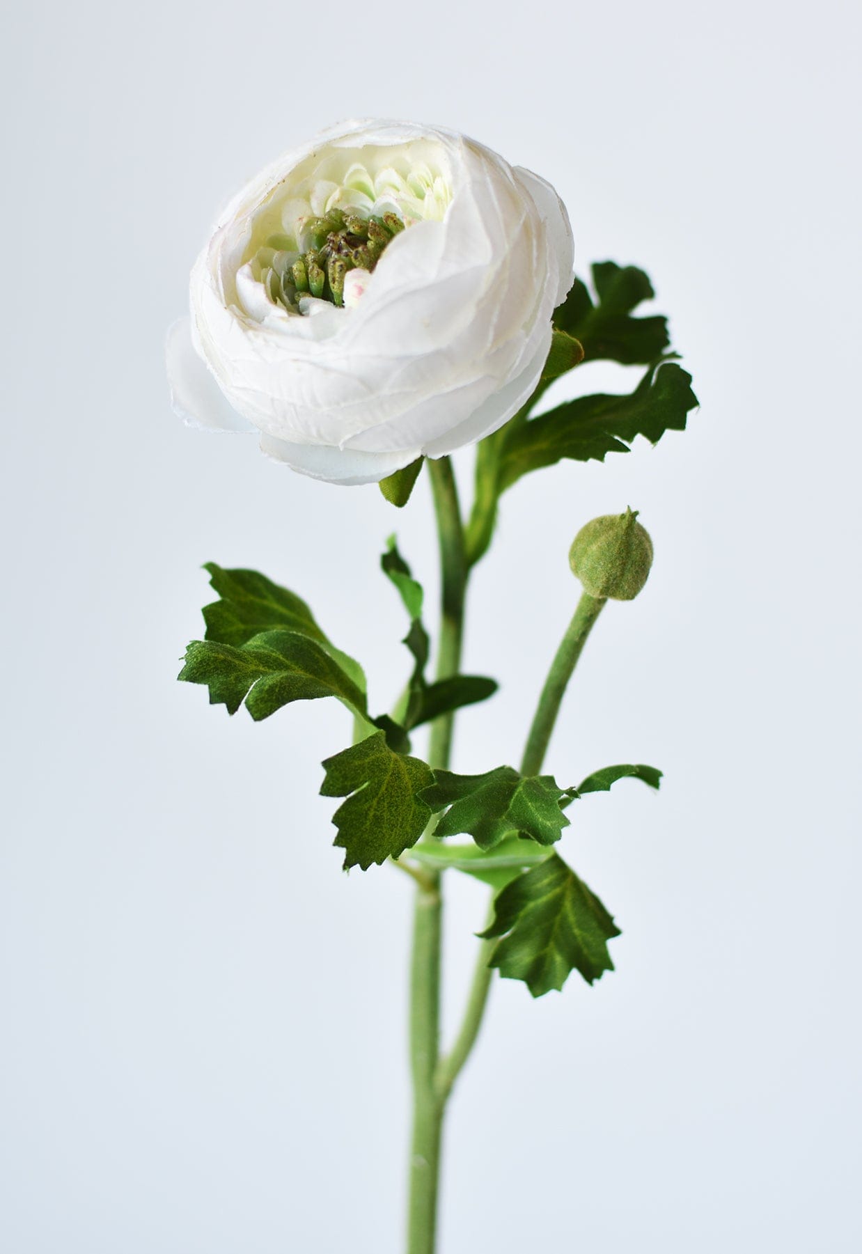 13" Faux White Ranunculus Stem (online exclusive)