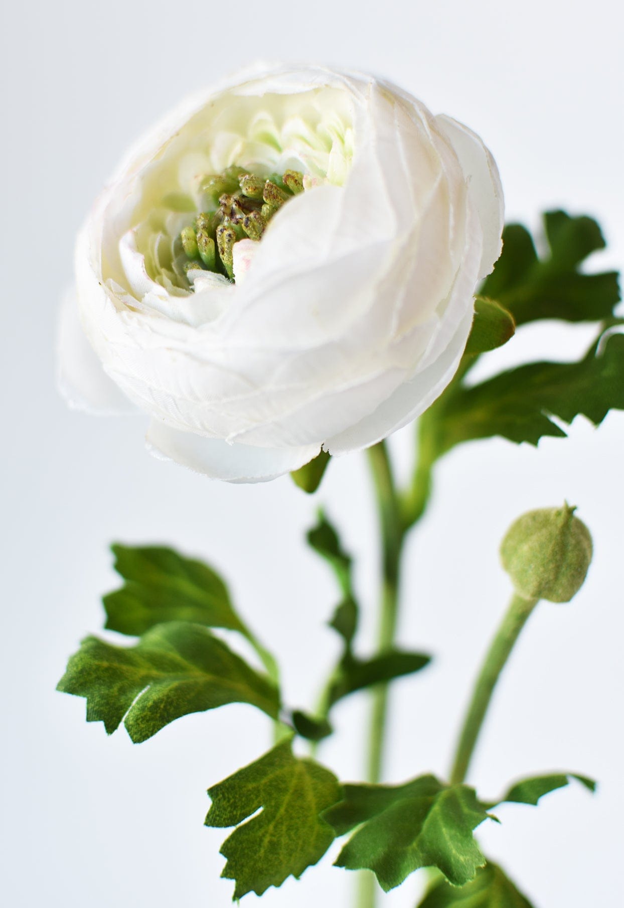 13" Faux White Ranunculus Stem (online exclusive)