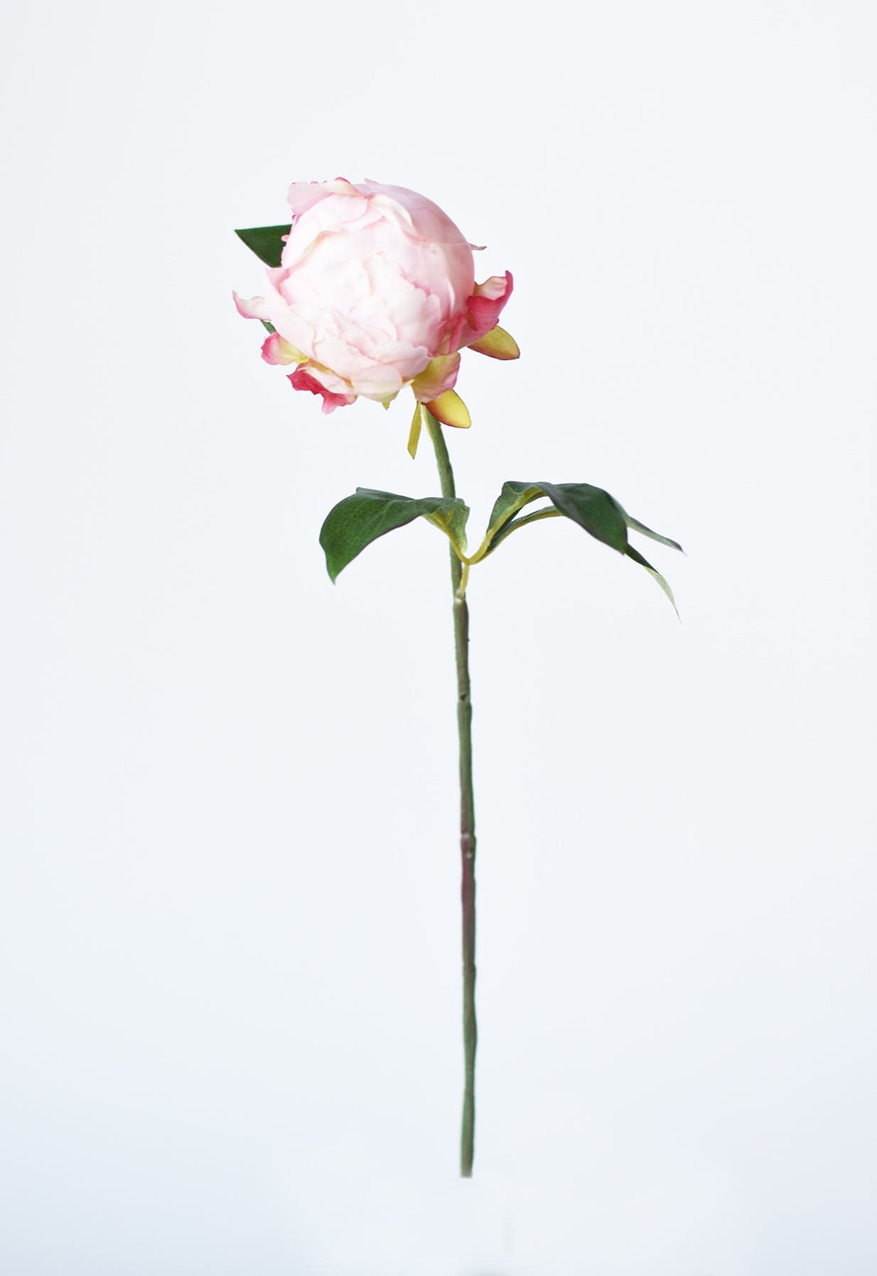18" Faux Peony Bud Stem Light Pink (Online exclusive)