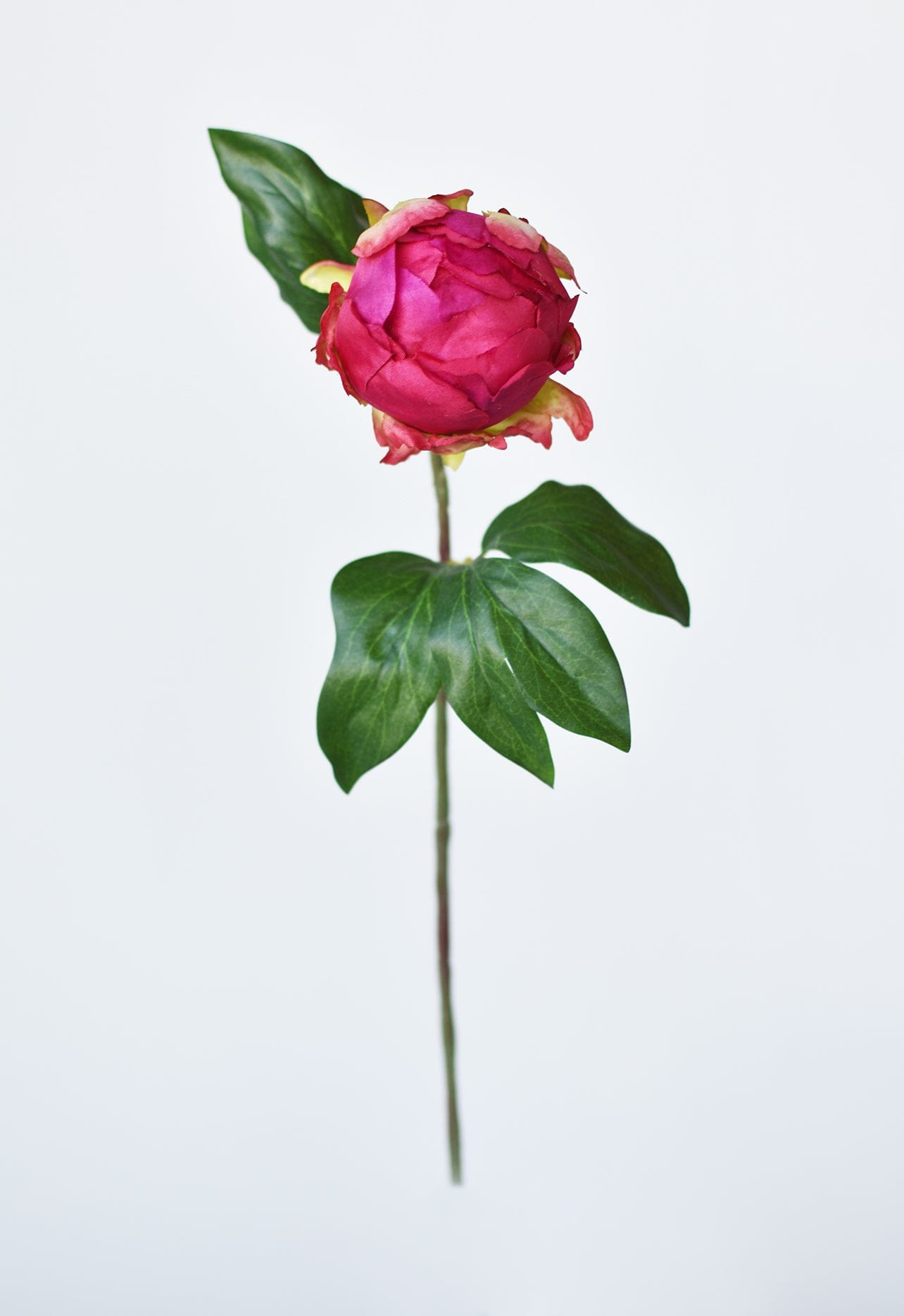 18" Faux Peony Bud Stem Fuchsia (online exclusive)
