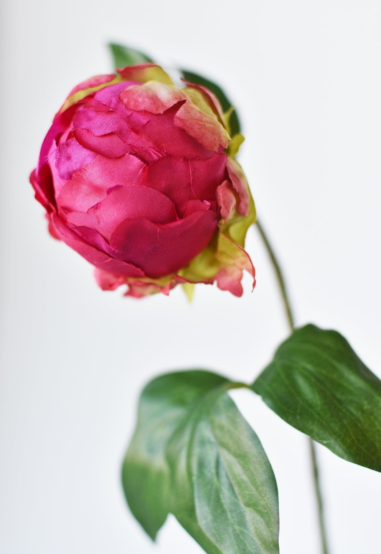 18" Faux Peony Bud Stem Fuchsia (online exclusive)