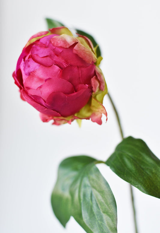 18" Faux Peony Bud Stem Fuchsia (online exclusive)