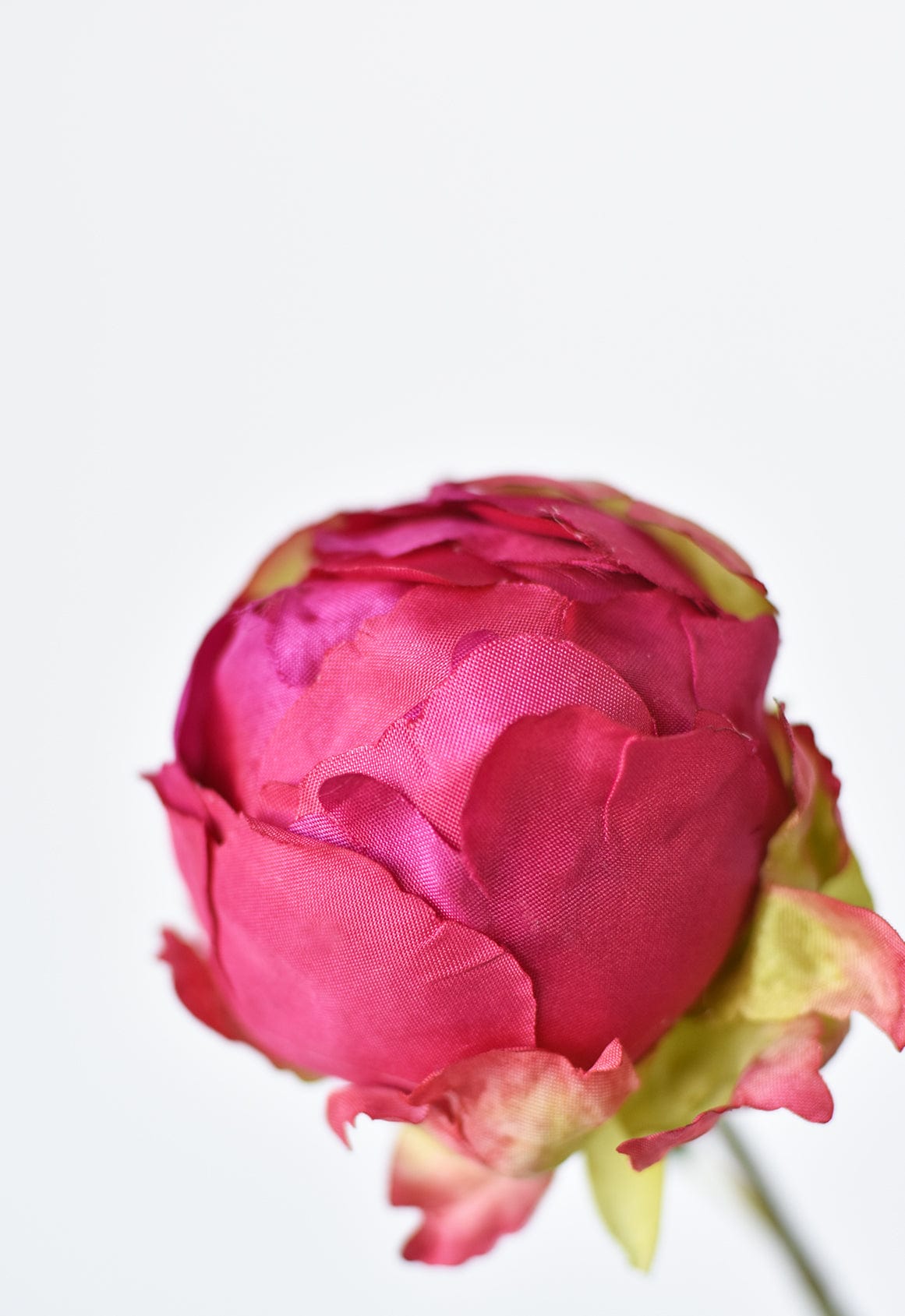 18" Faux Peony Bud Stem Fuchsia (online exclusive)