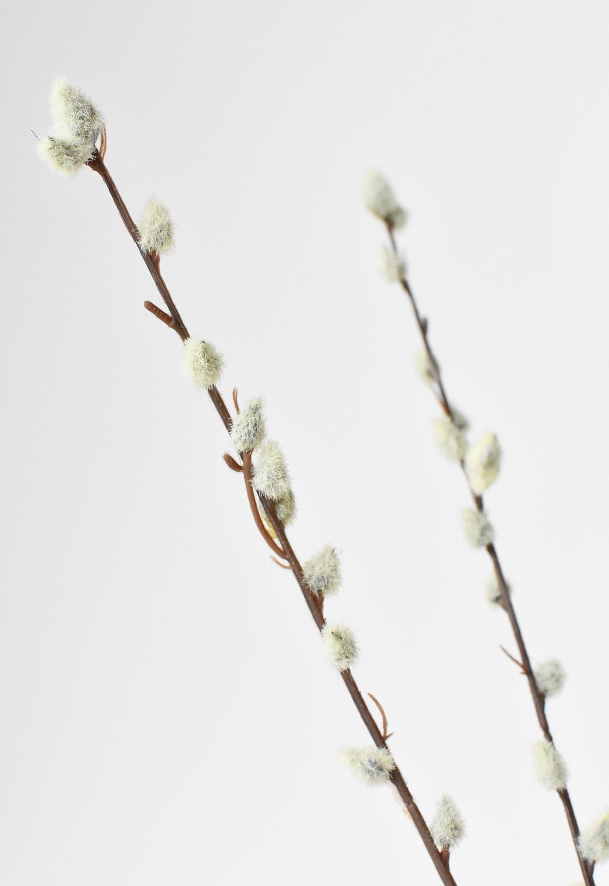 31" Faux Pussy Willow Stem  (online exclusive)