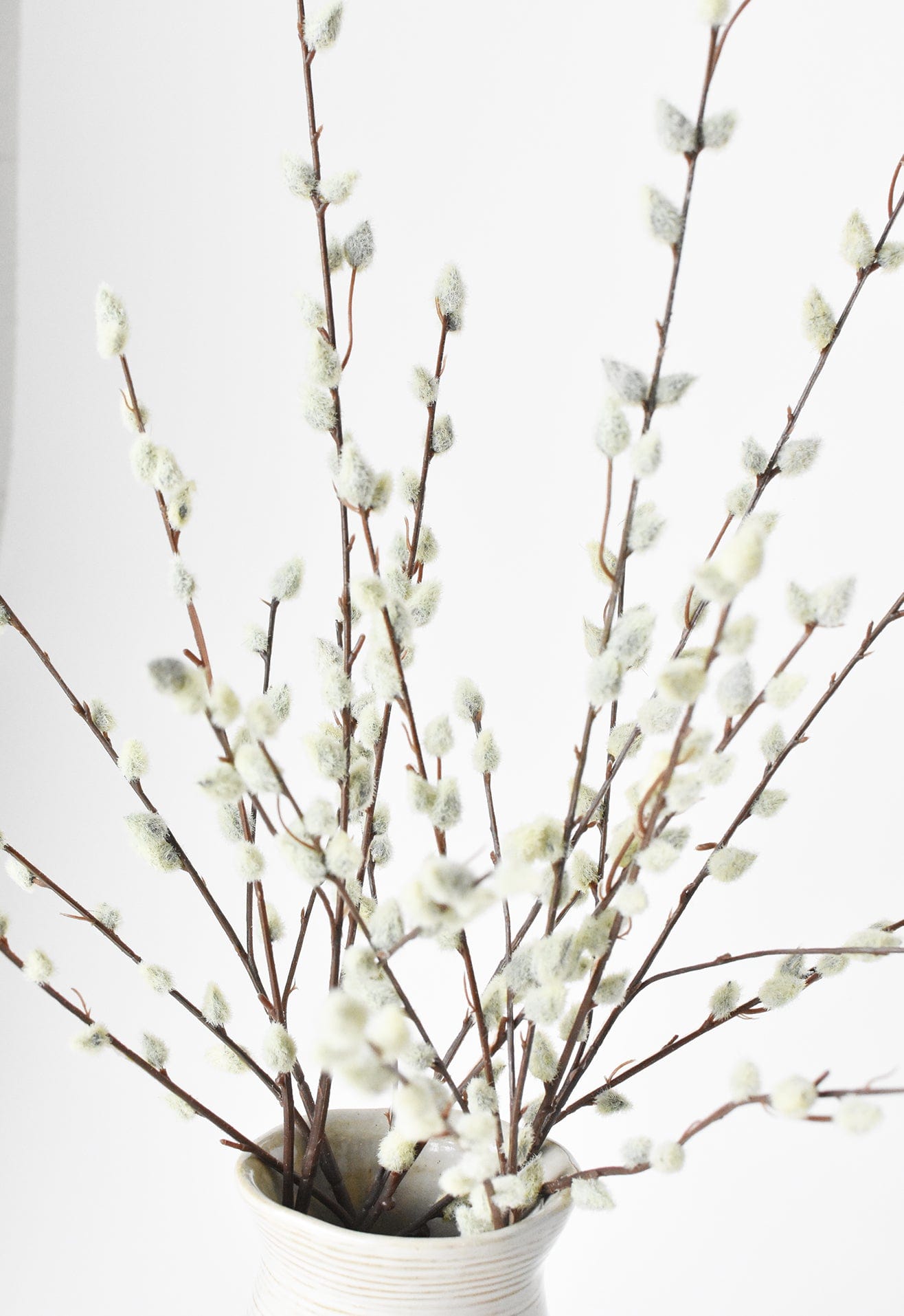 31" Faux Pussy Willow Stem  (online exclusive)