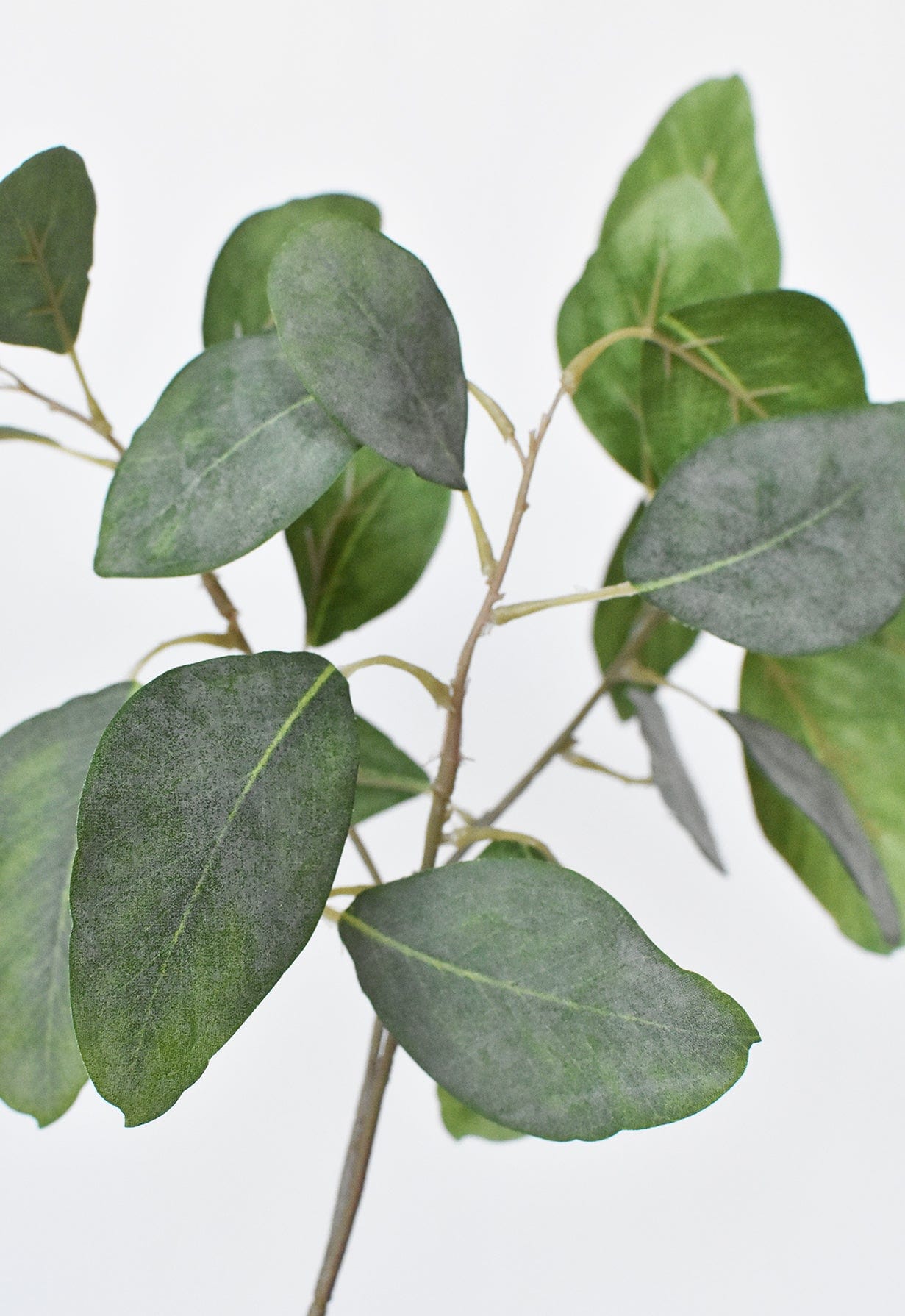 24" Faux Eucalyptus Leaf Stem (Online exclusive)
