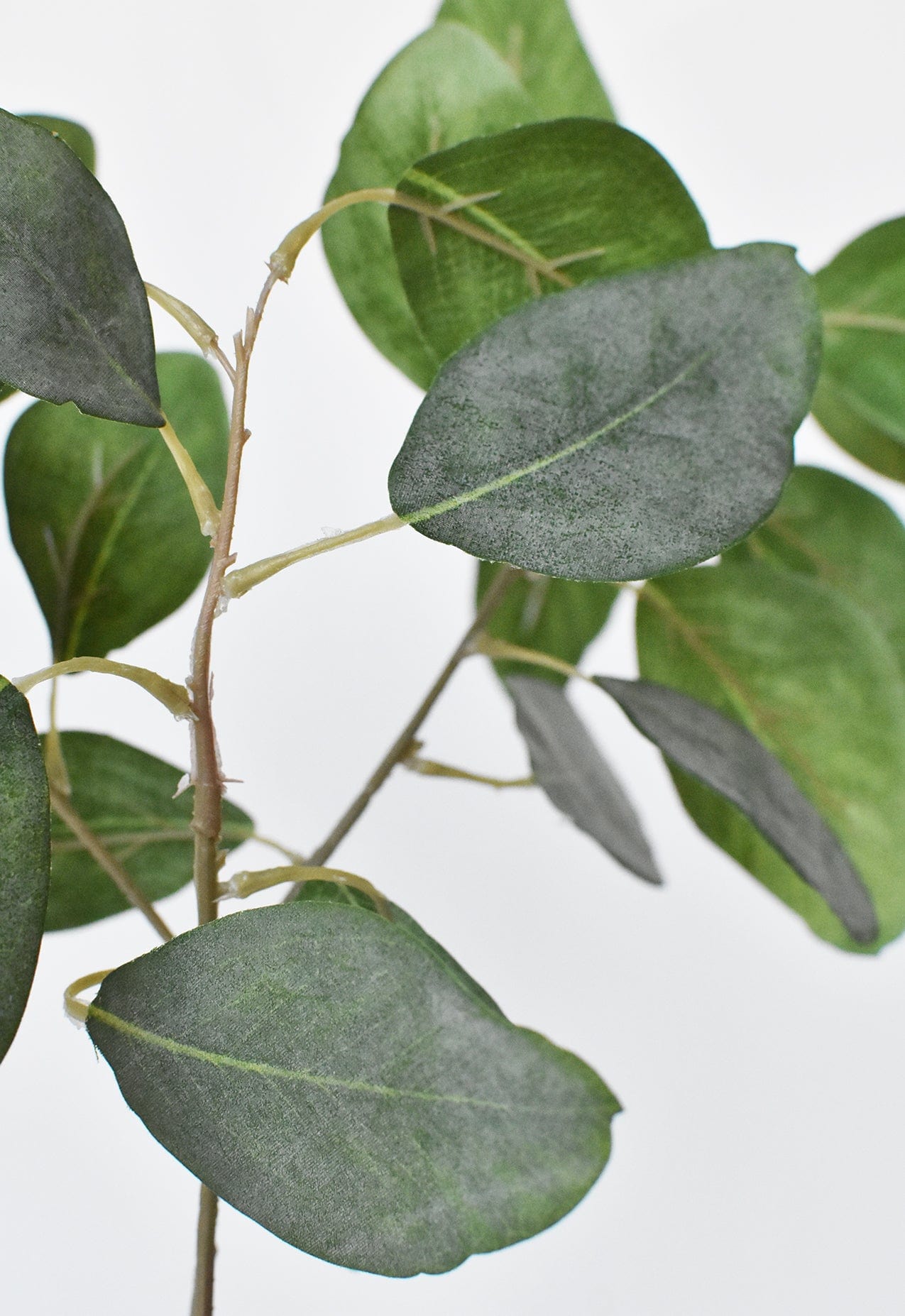24" Faux Eucalyptus Leaf Stem (Online exclusive)