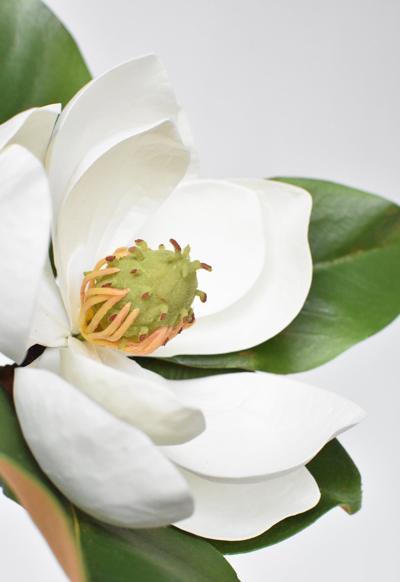 24" Faux Magnolia Blossom Stem (Online exclusive)