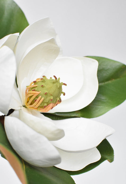 24" Faux Magnolia Blossom Stem (Online exclusive)