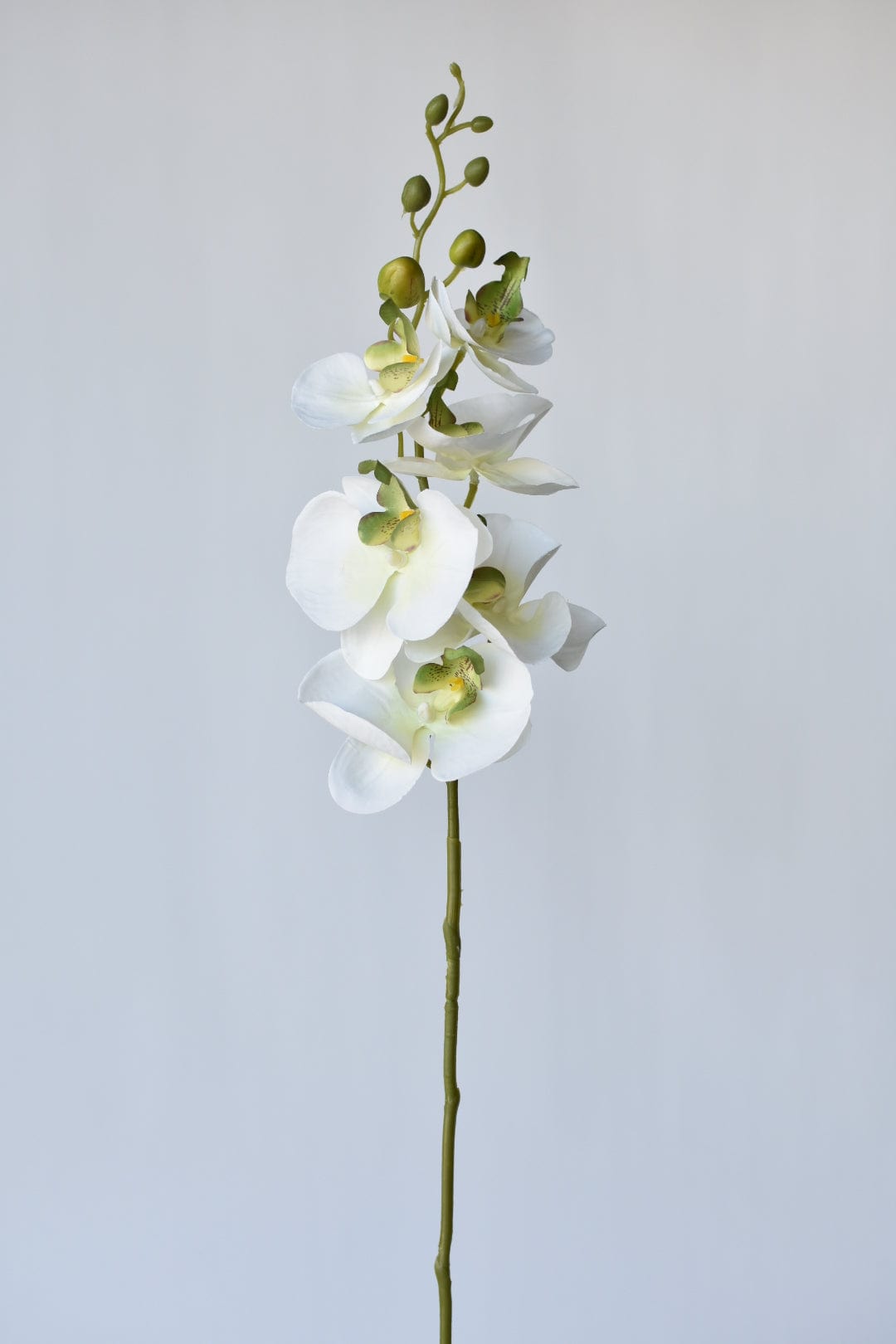 33" Faux White Phalaenopsis Orchid Stem (Online exclusive)