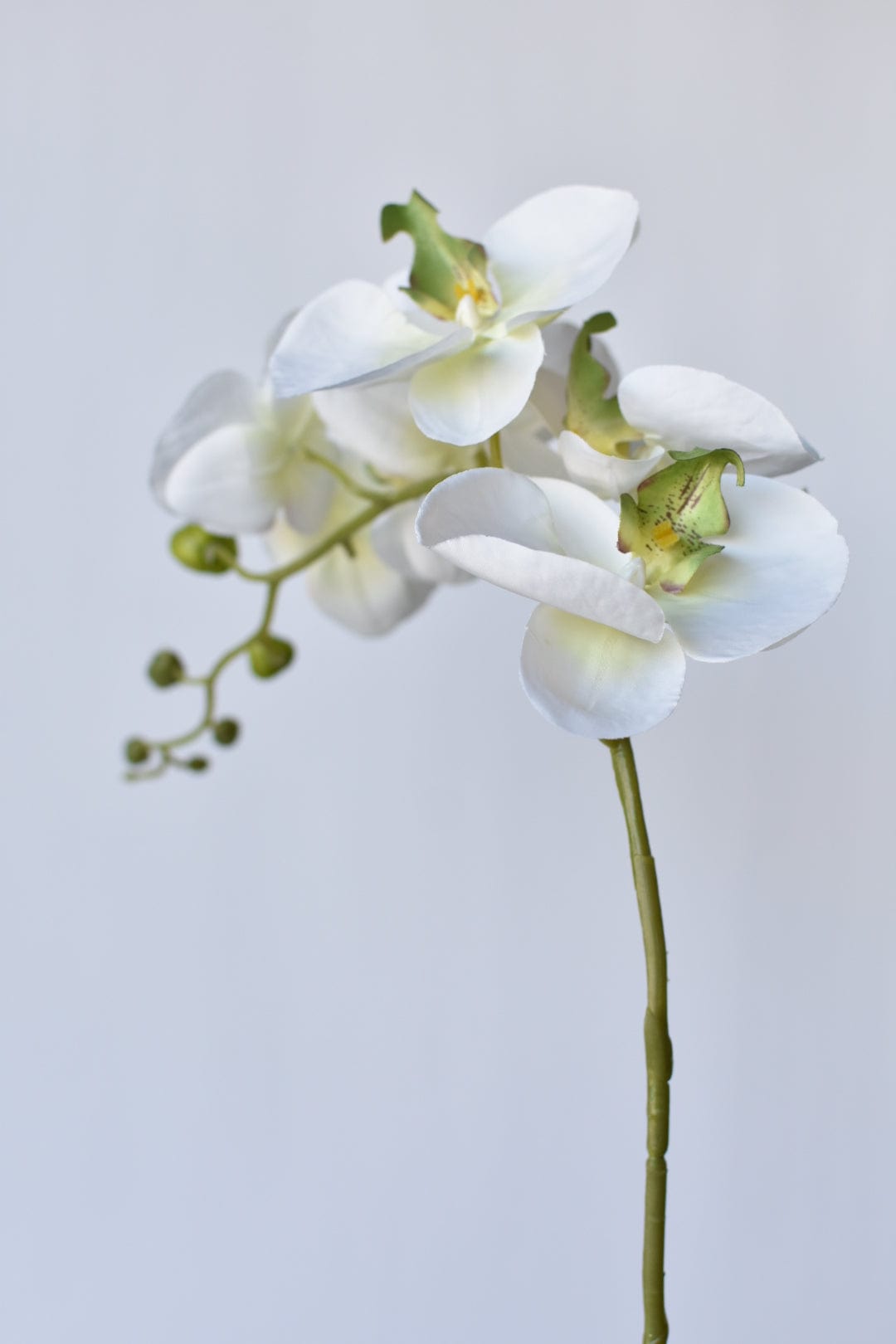 33" Faux White Phalaenopsis Orchid Stem (Online exclusive)