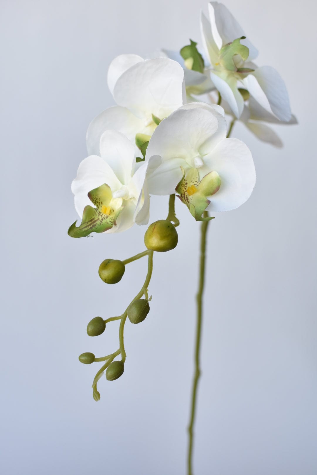 33" Faux White Phalaenopsis Orchid Stem (Online exclusive)