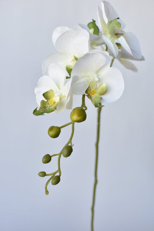 33" Faux White Phalaenopsis Orchid Stem (Online exclusive)