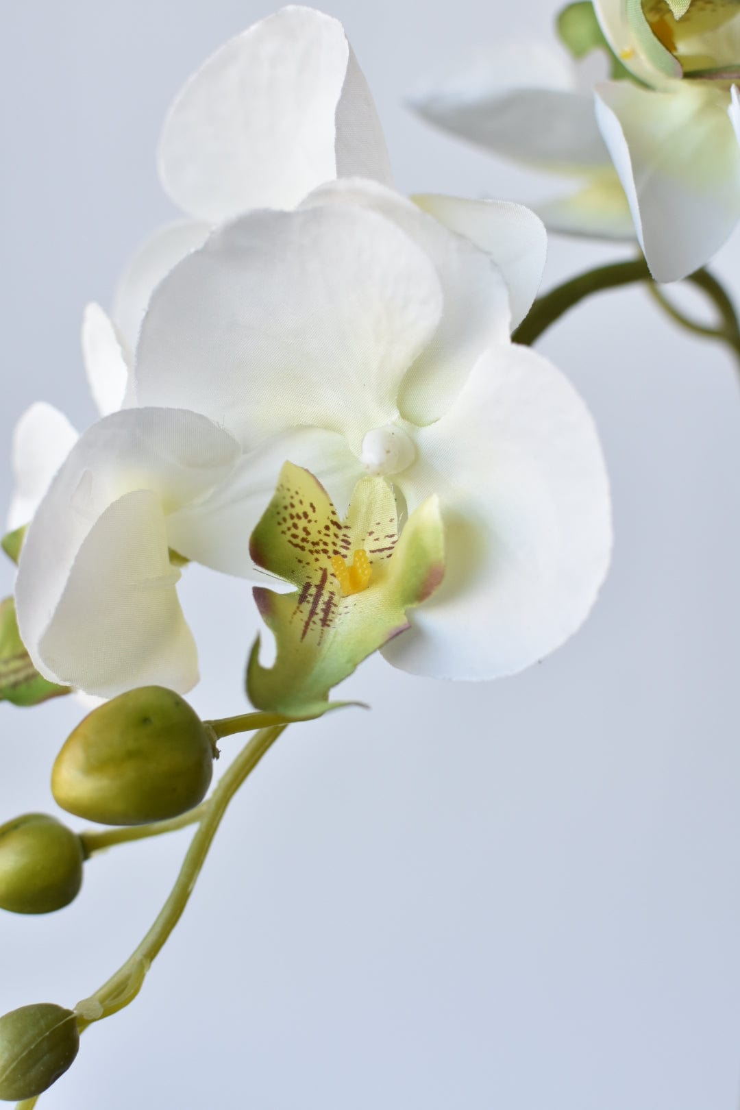 33" Faux White Phalaenopsis Orchid Stem (Online exclusive)