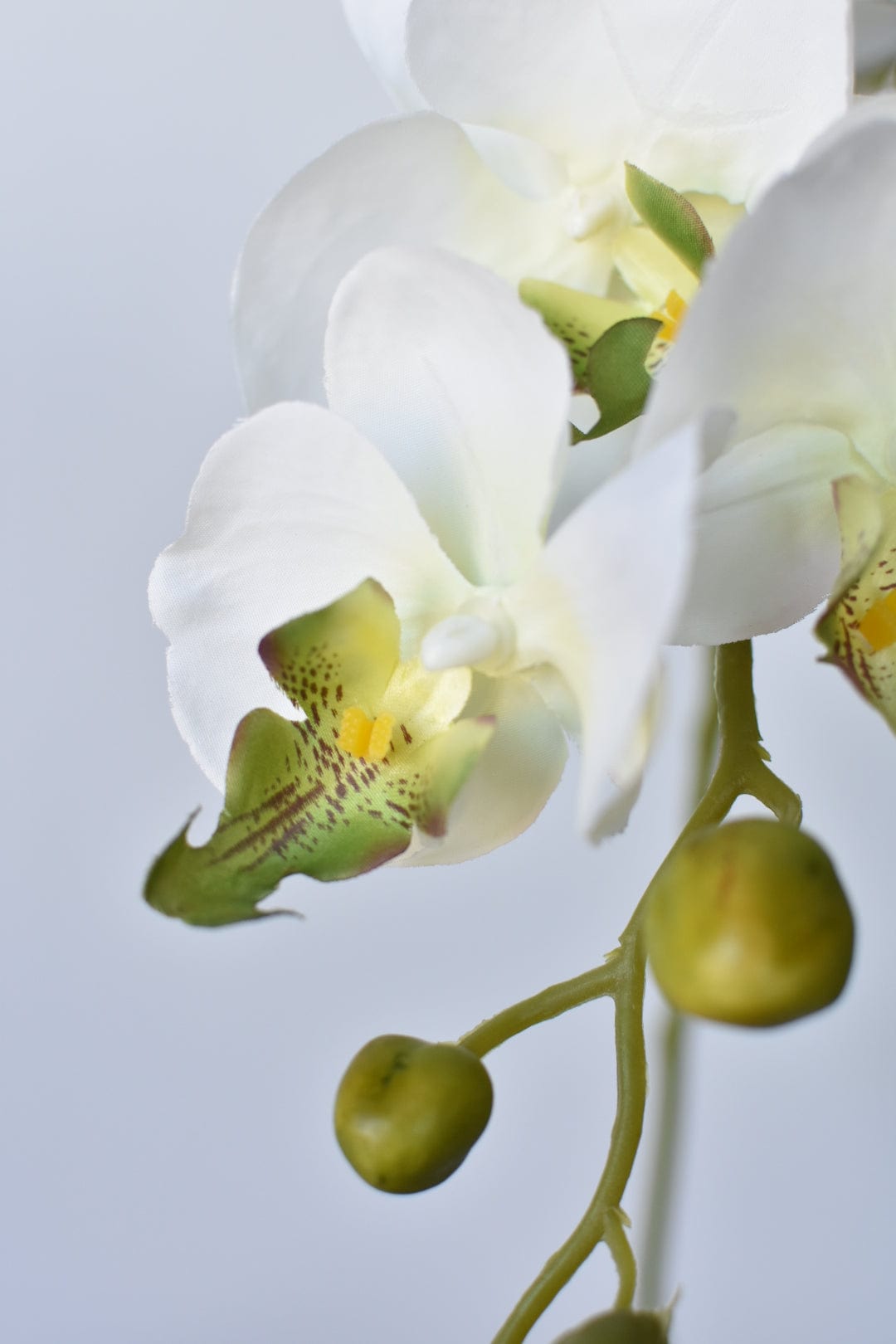 33" Faux White Phalaenopsis Orchid Stem (Online exclusive)