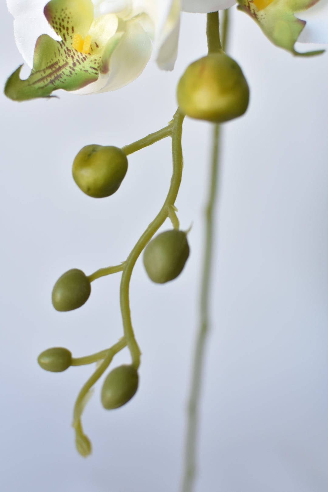 33" Faux White Phalaenopsis Orchid Stem (Online exclusive)