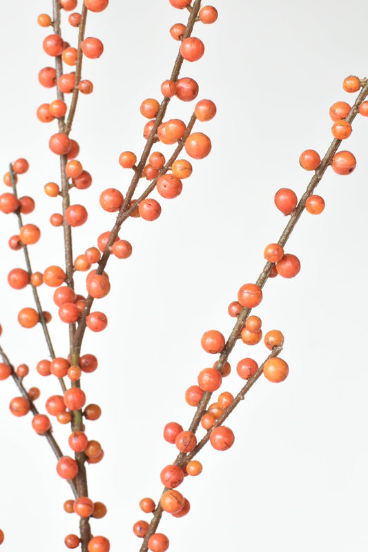43" Faux Outdoor Orange Berry Stem (Online Exclusive)