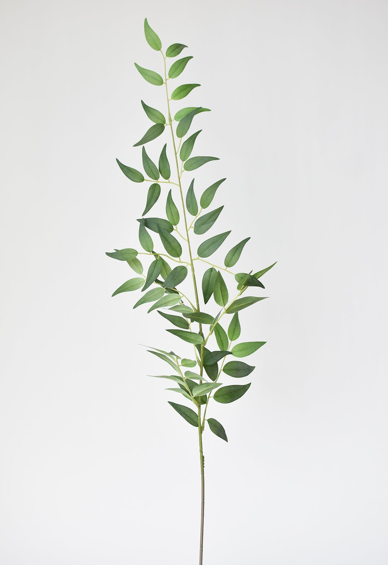 36" Faux Italian Ruscus Stem (Online exclusive)