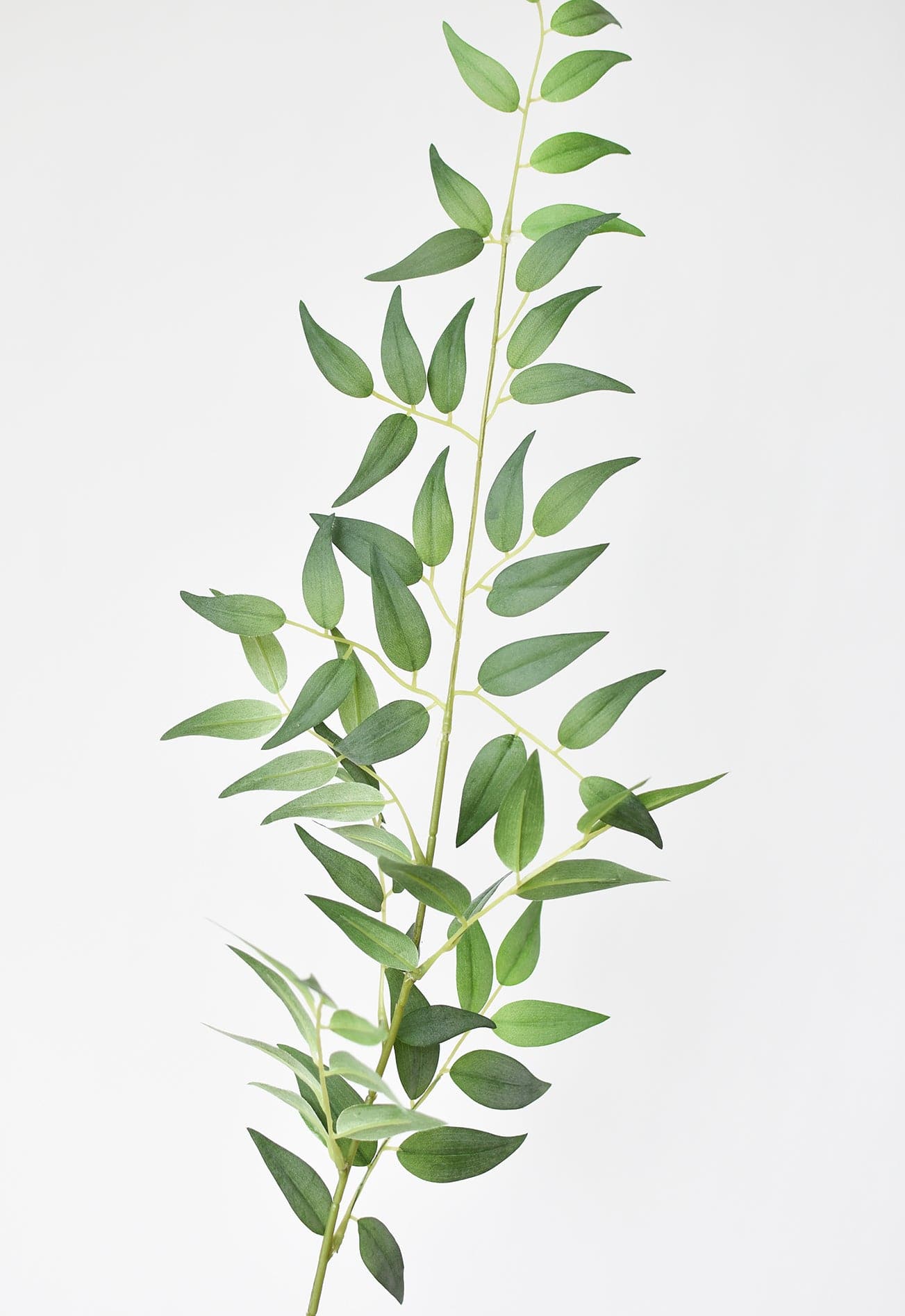 36" Faux Italian Ruscus Stem (Online exclusive)