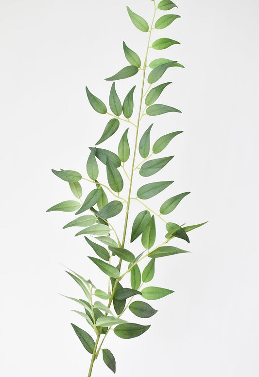 36" Faux Italian Ruscus Stem (Online exclusive)