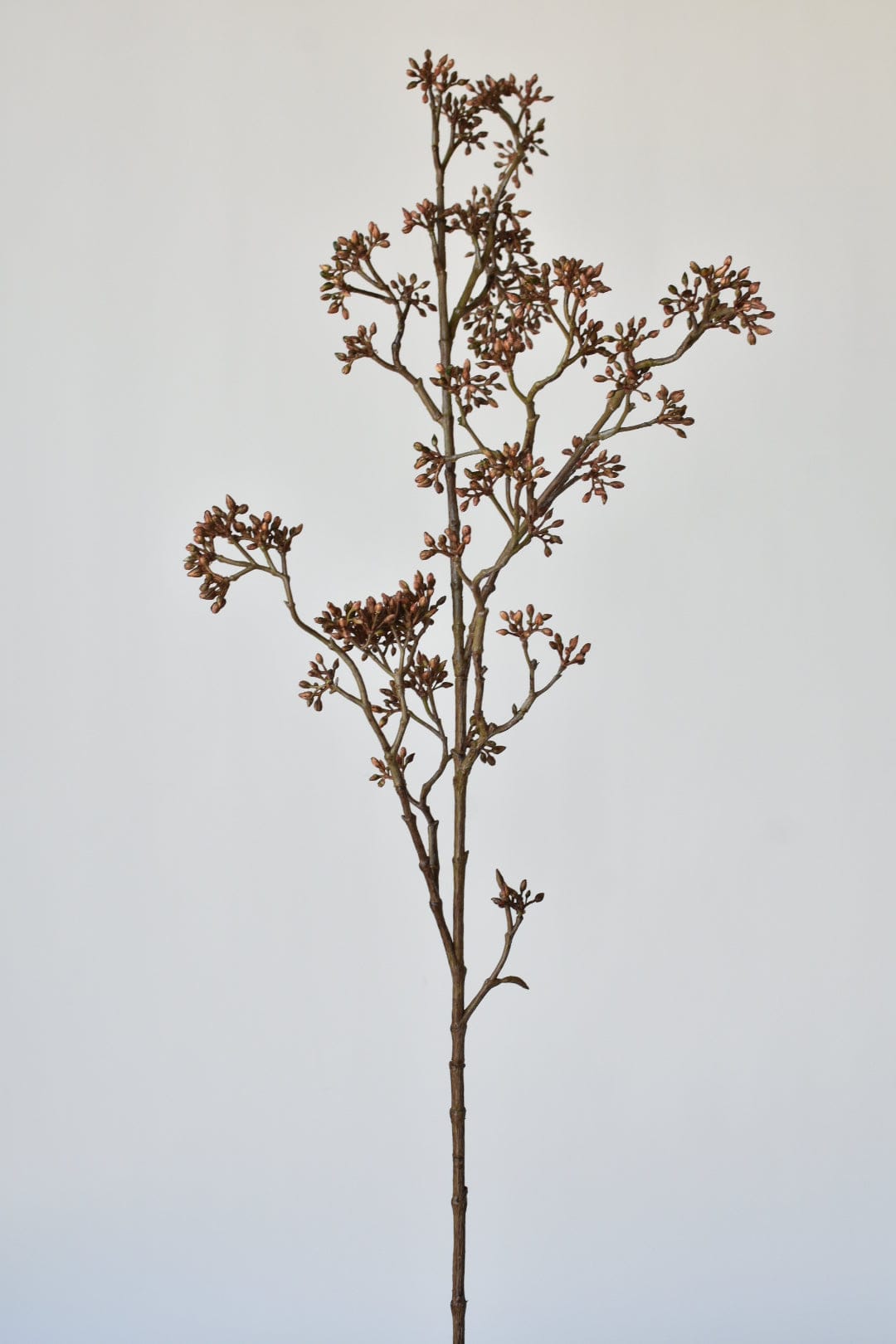 38" Faux Brown Sedum Berry Branch (Online exclusive)
