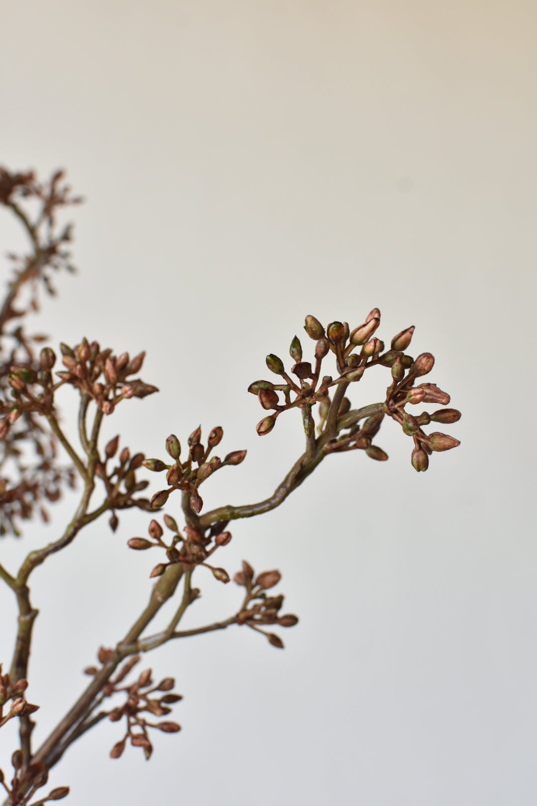 38" Faux Brown Sedum Berry Branch (Online exclusive)