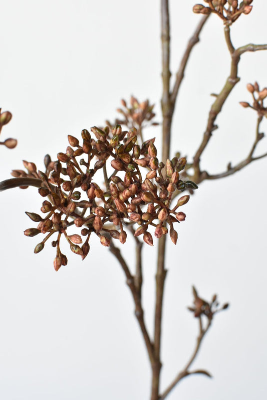 38" Faux Brown Sedum Berry Branch (Online exclusive)
