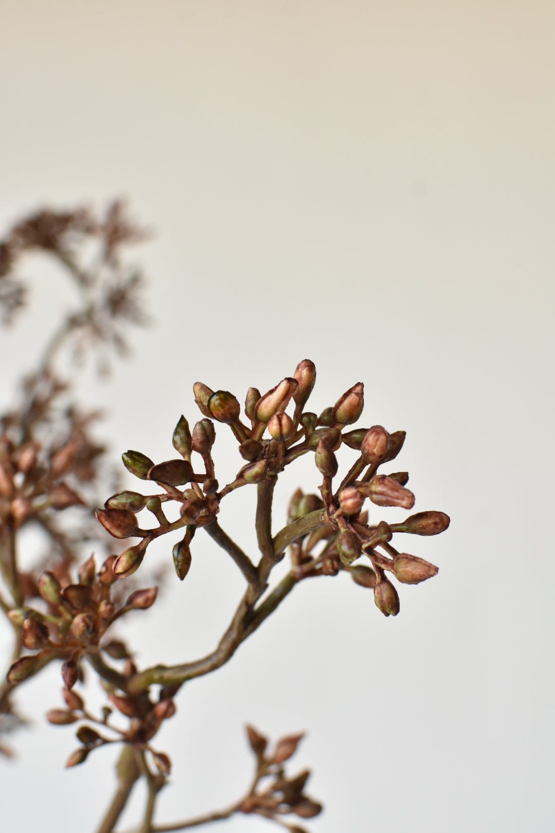 38" Faux Brown Sedum Berry Branch (Online exclusive)