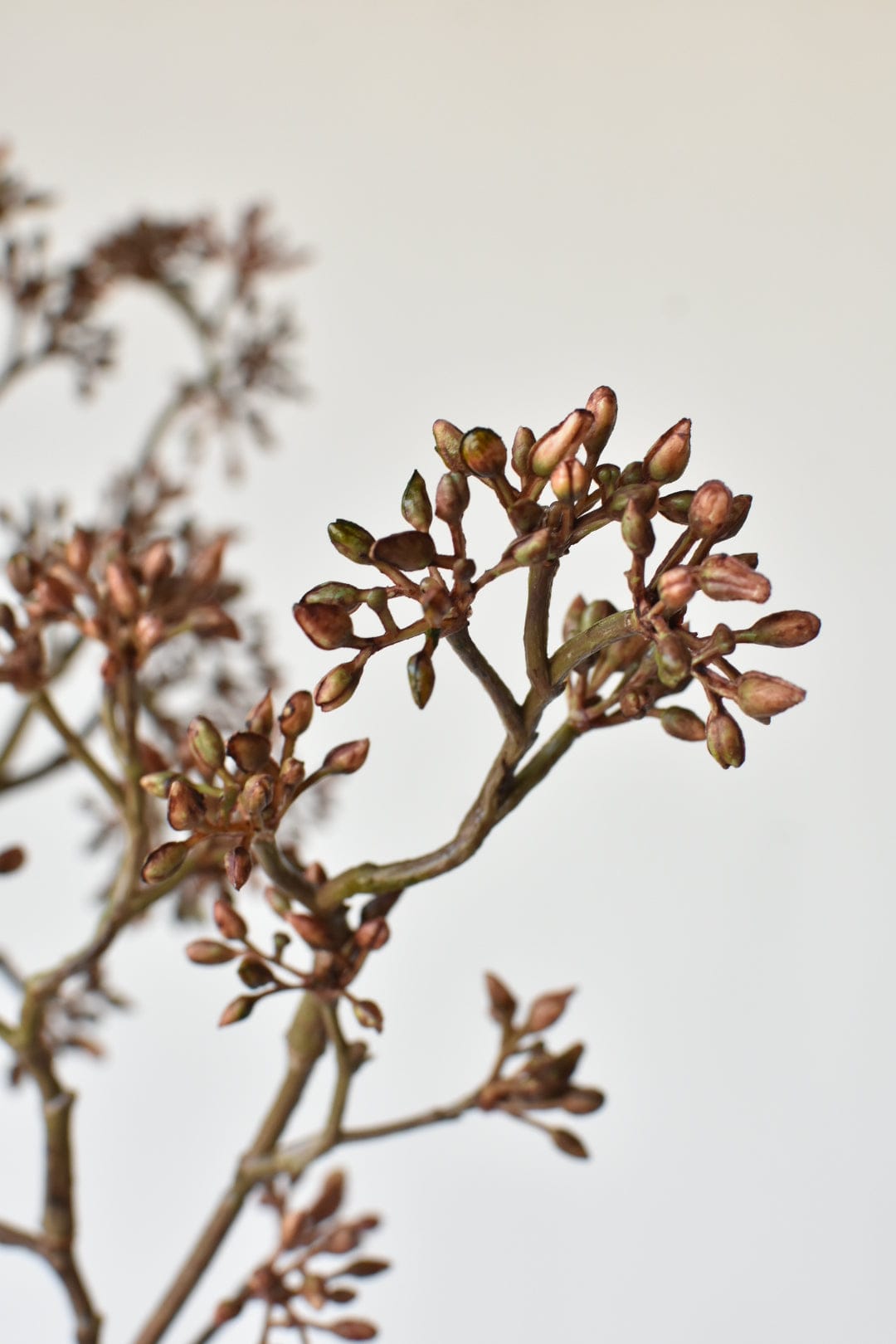 38" Faux Brown Sedum Berry Branch (Online exclusive)