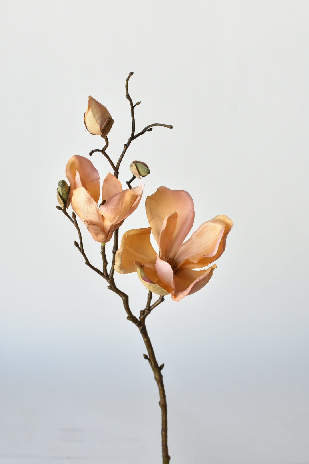 19" Faux Magnolia Stem Light Orange/Pink (Online exclusive)