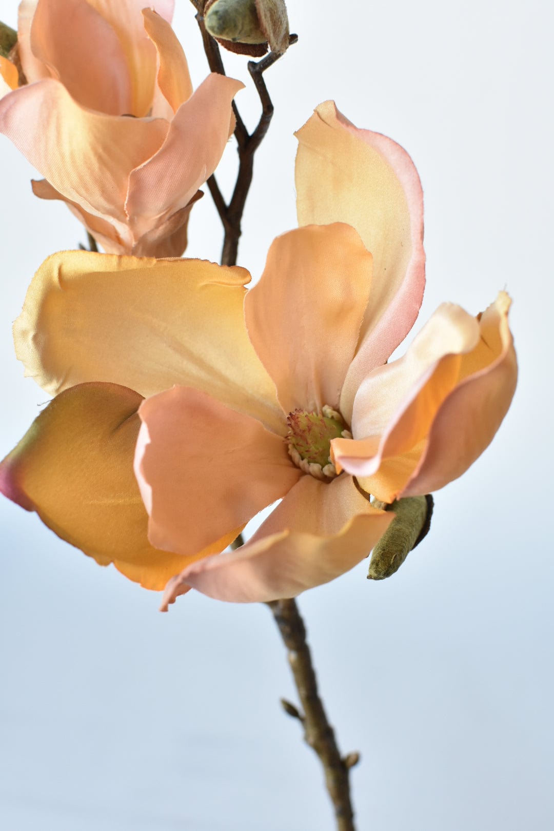 19" Faux Magnolia Stem Light Orange/Pink (Online exclusive)