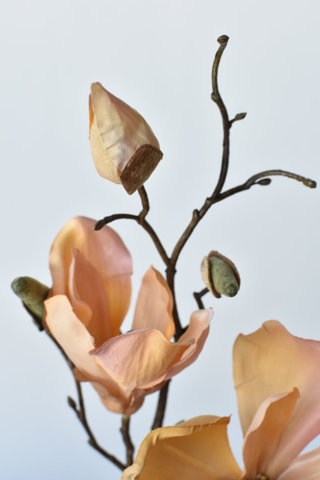 19" Faux Magnolia Stem Light Orange/Pink (Online exclusive)