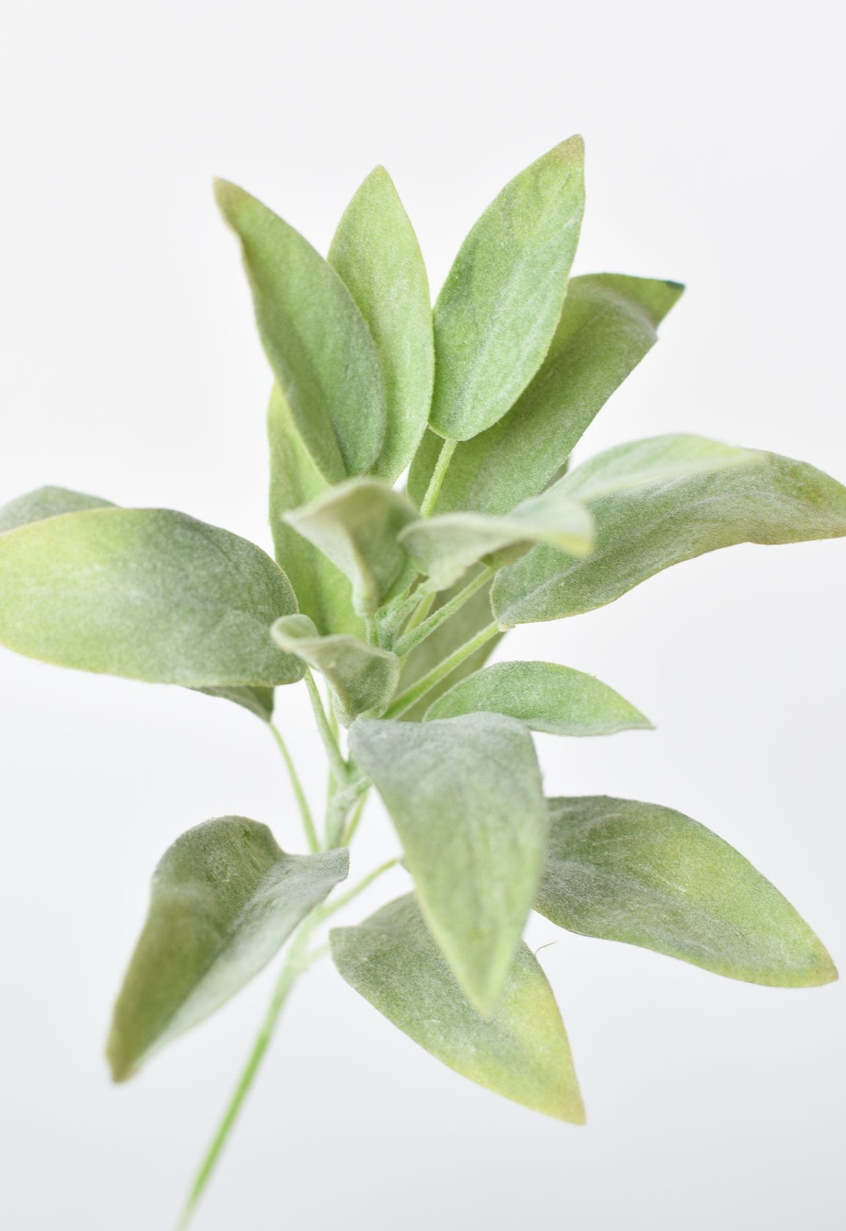 12"Faux Green Sage Pick Stem (Online exclusive)