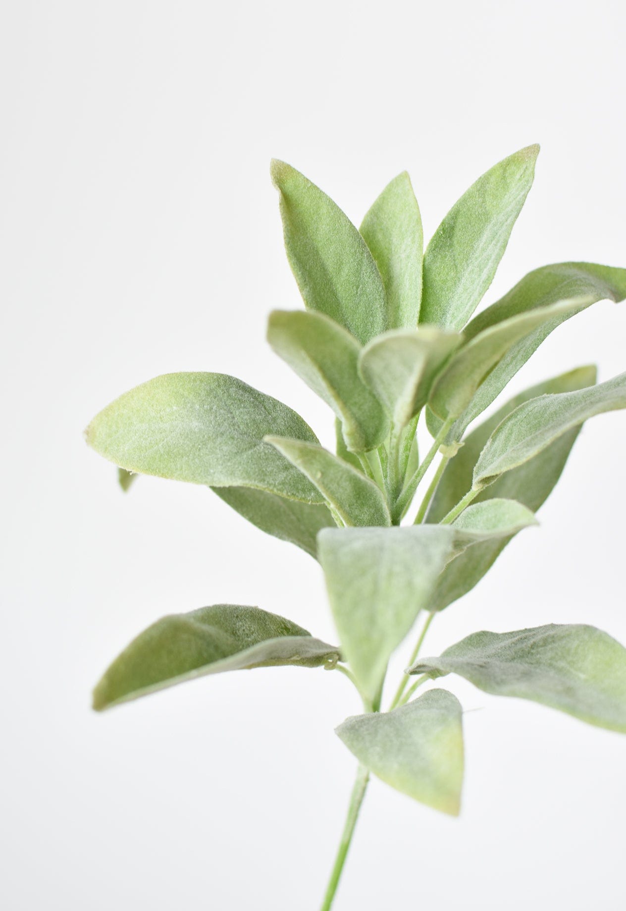 12"Faux Green Sage Pick Stem (Online exclusive)