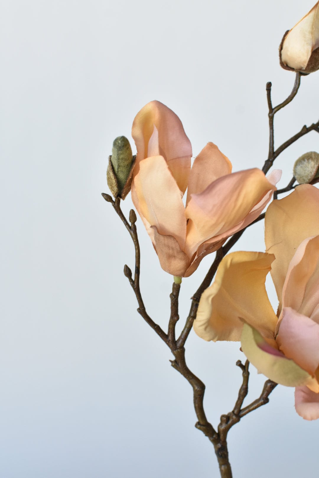 19" Faux Magnolia Stem Light Orange/Pink (Online exclusive)