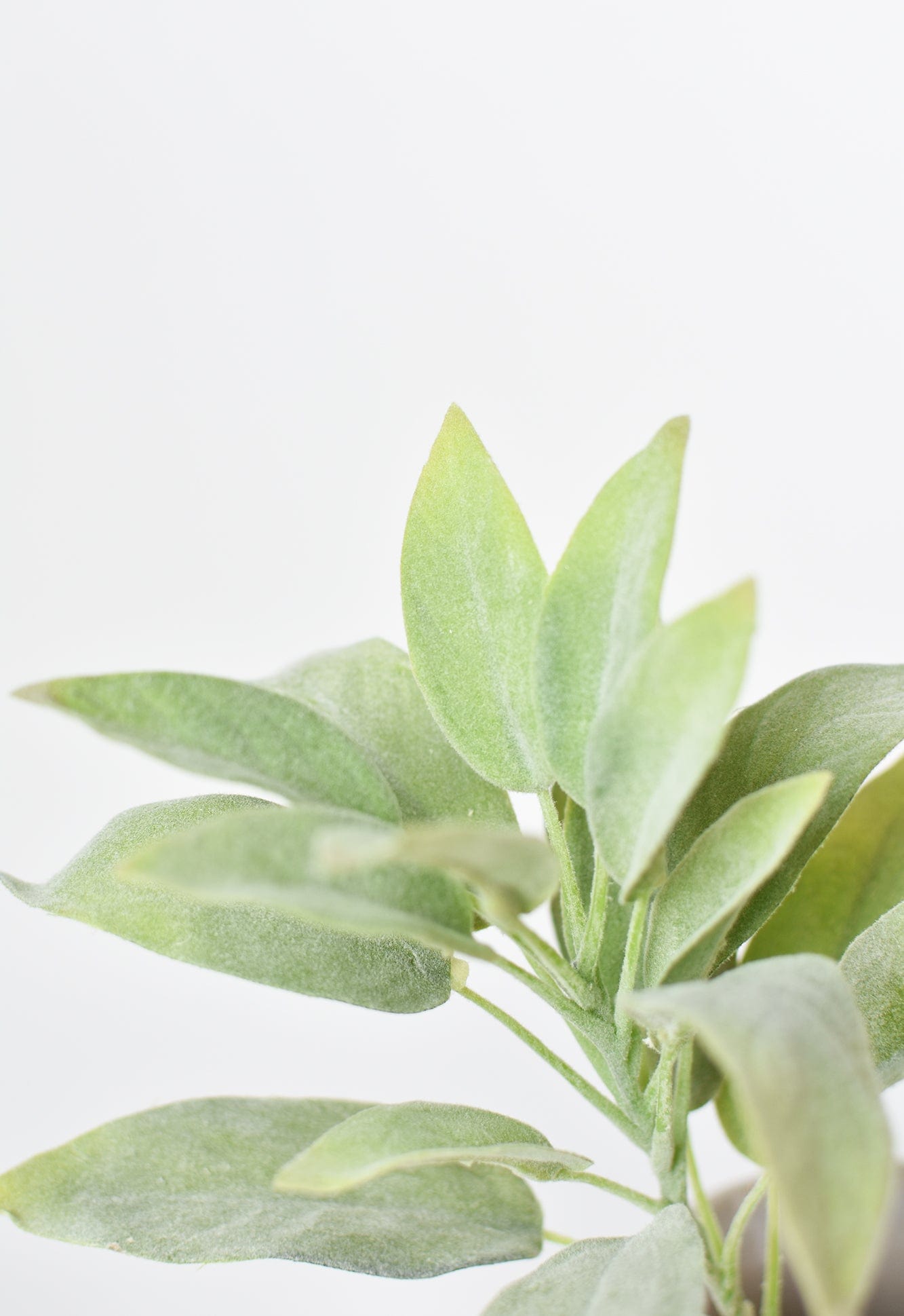 12"Faux Green Sage Pick Stem (Online exclusive)