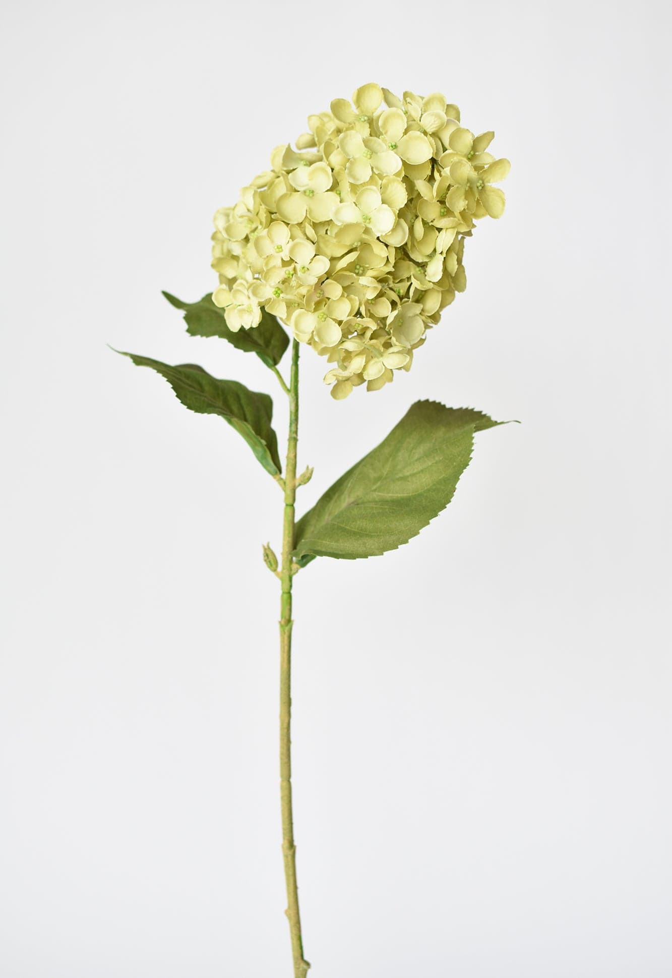 28" Faux Cone Hydrangea Stem Green  (online exclusive)