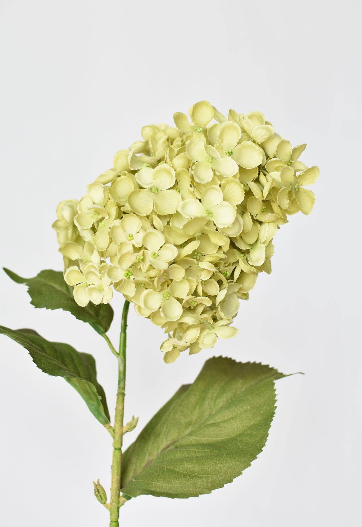 28" Faux Cone Hydrangea Stem Green  (online exclusive)