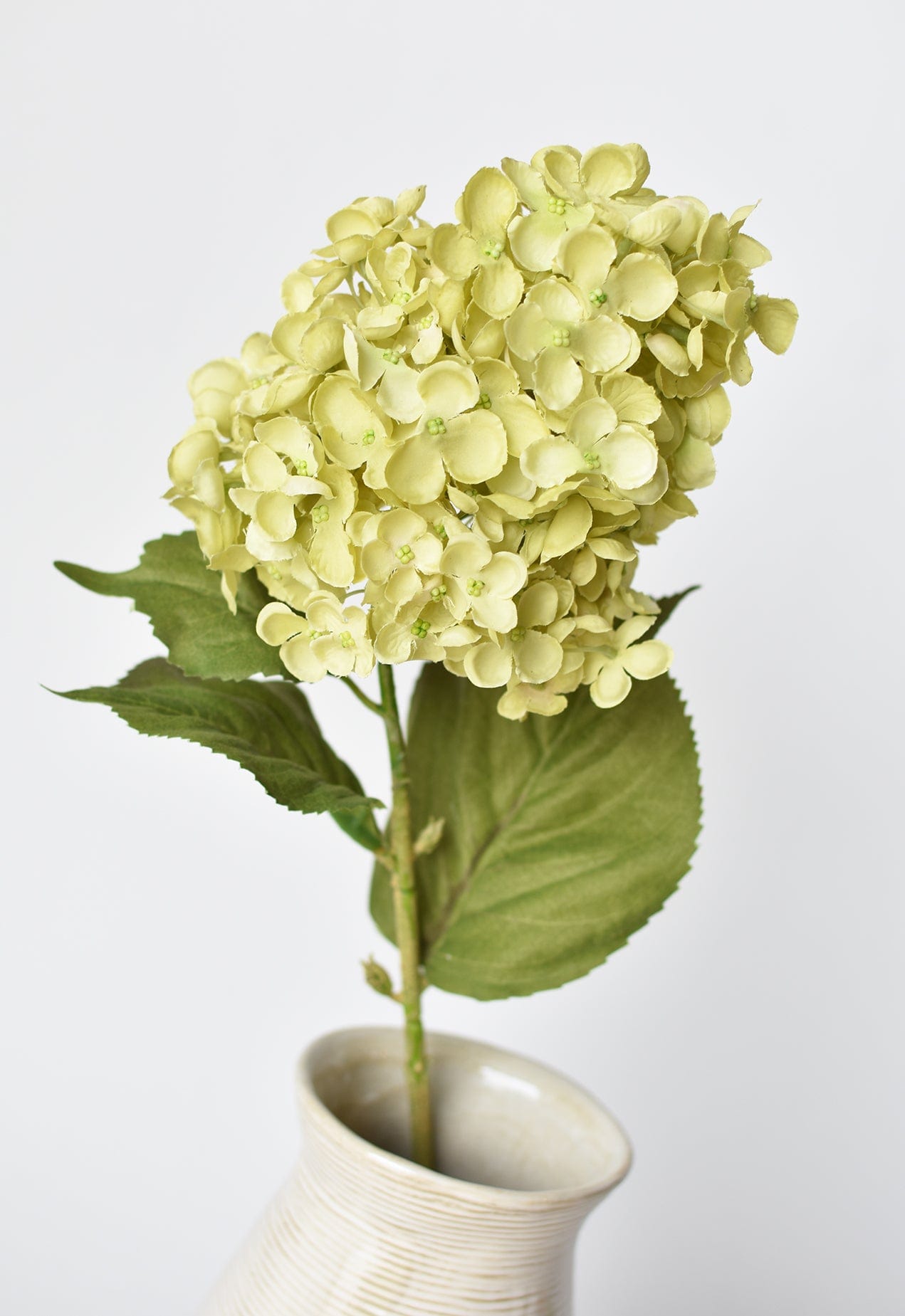 28" Faux Cone Hydrangea Stem Green  (online exclusive)