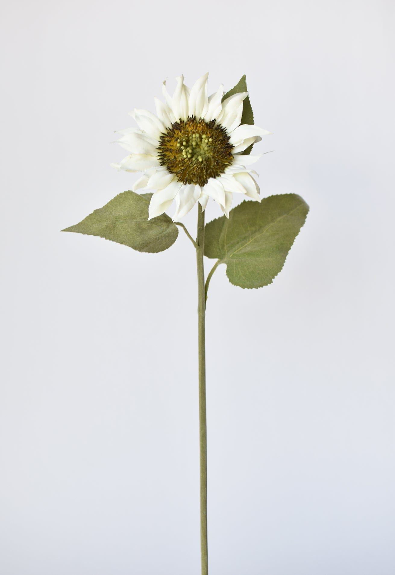 25" Faux Sunflower Stem White (Online exclusive)