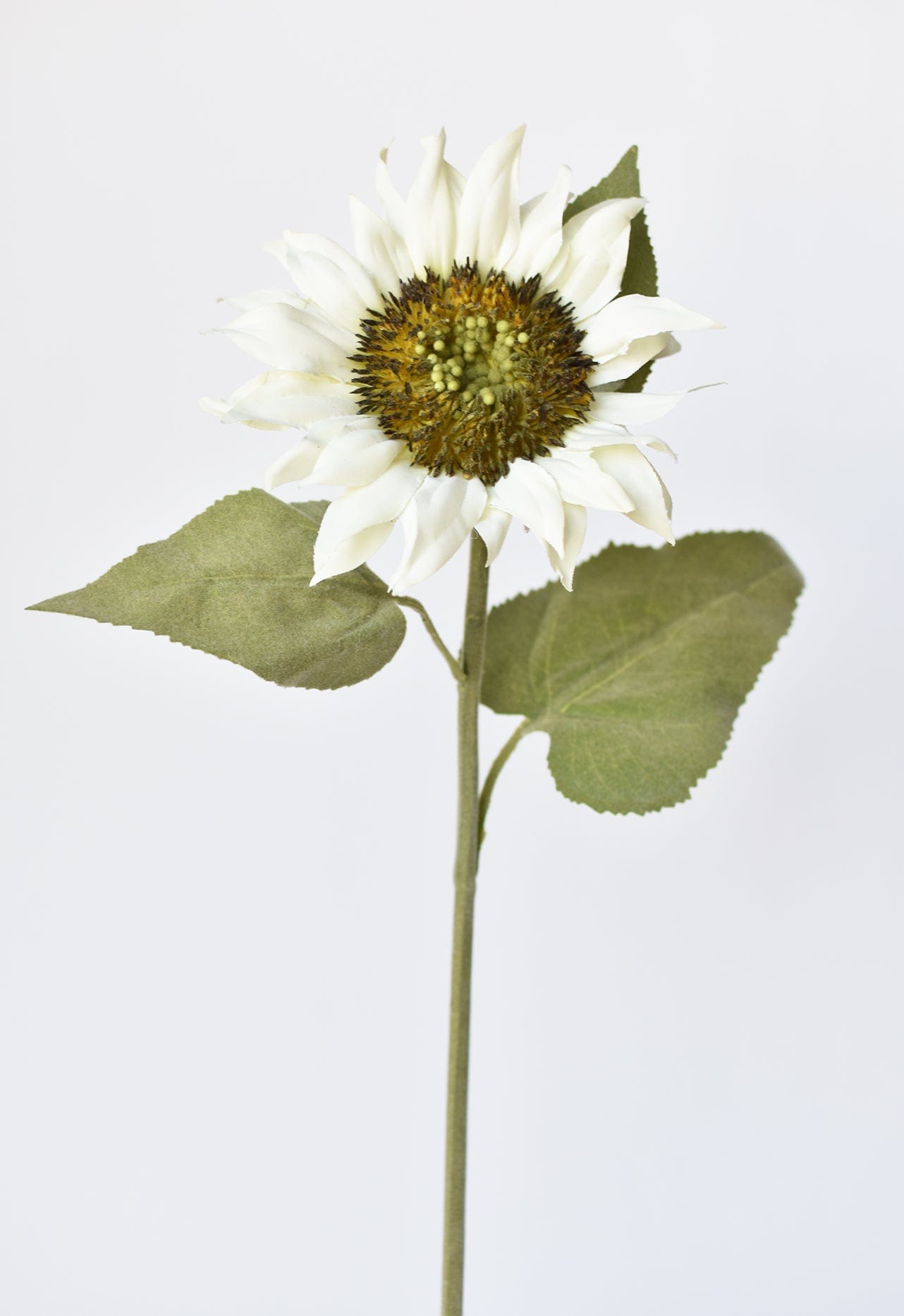 25" Faux Sunflower Stem White (Online exclusive)