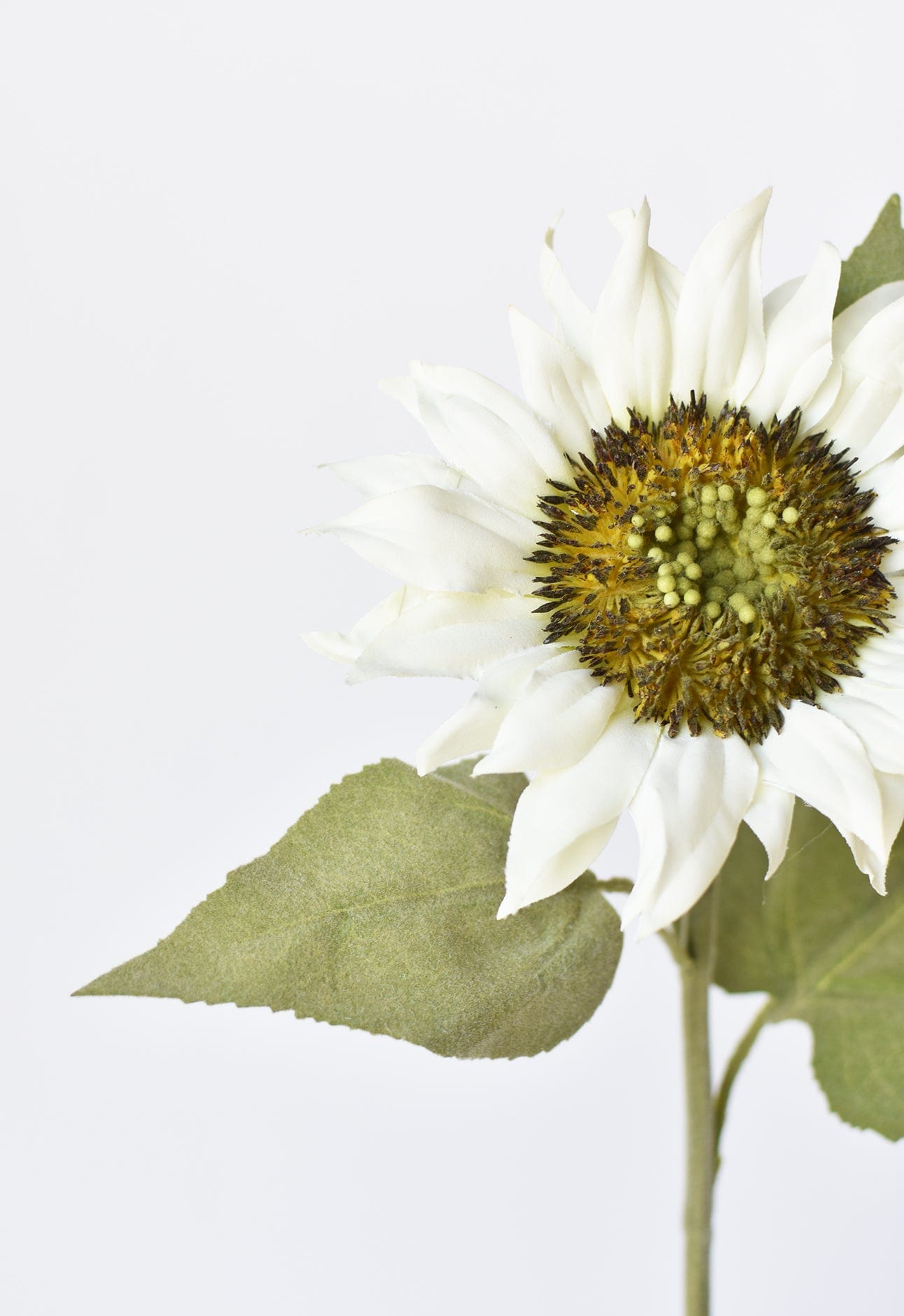 25" Faux Sunflower Stem White (Online exclusive)