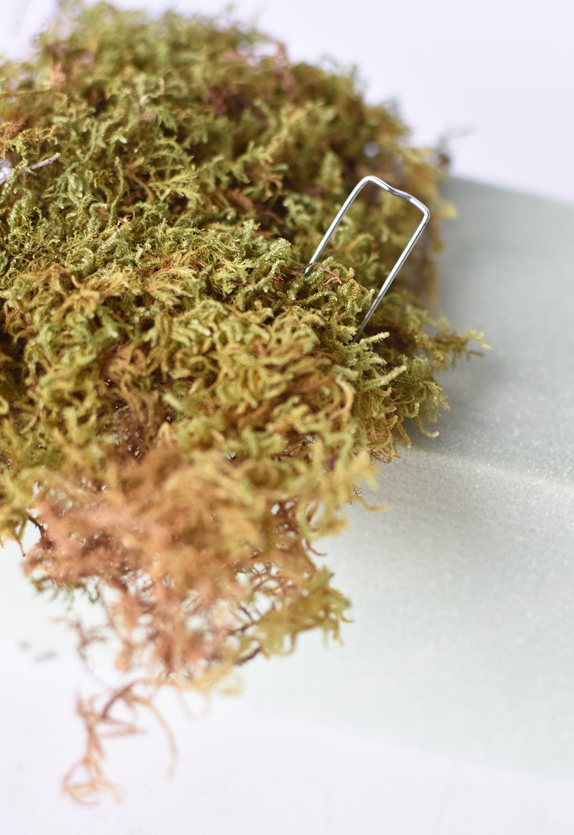 Faux Floral Foam Brick  (online exclusive)