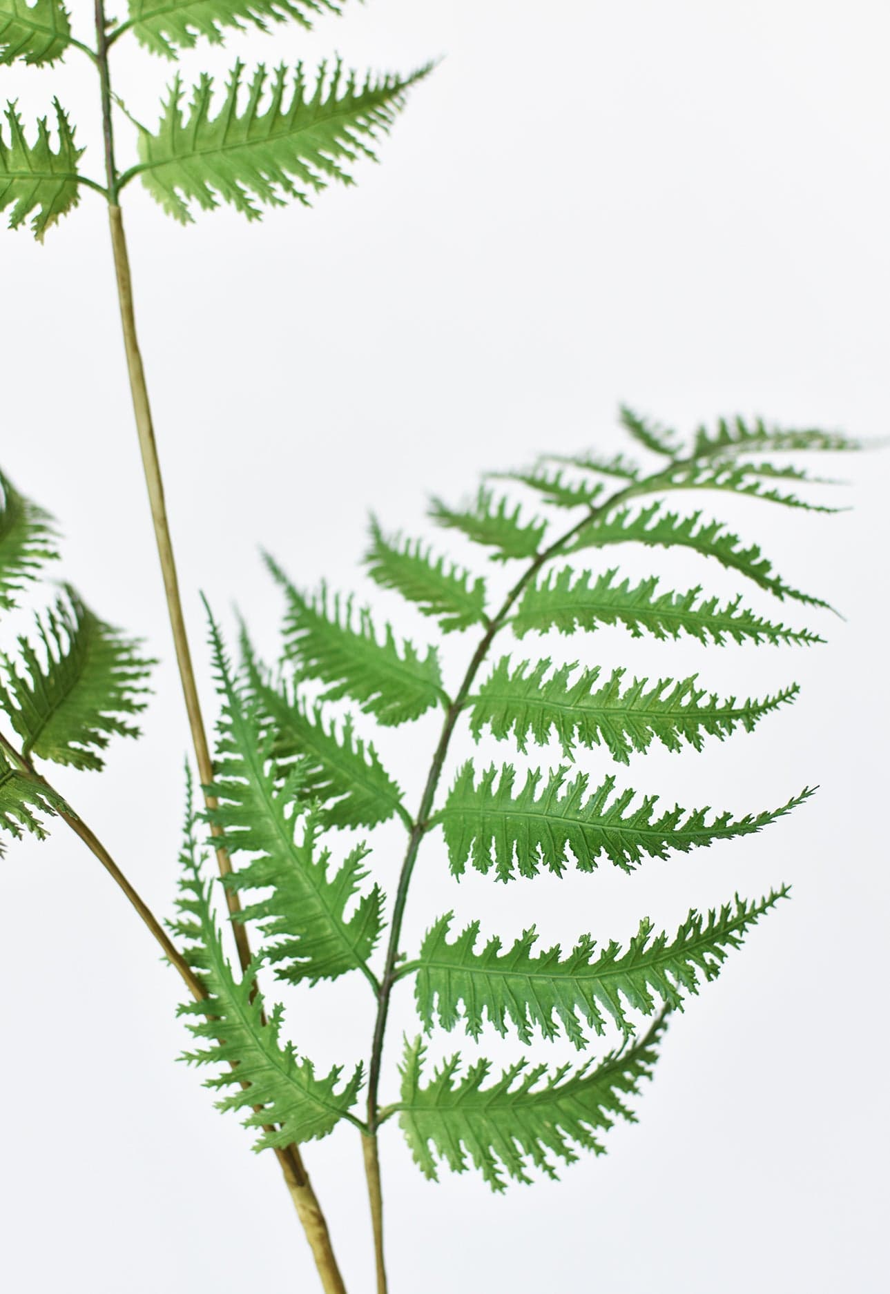 33" Faux Forest Fern Spray (Online exclusive)