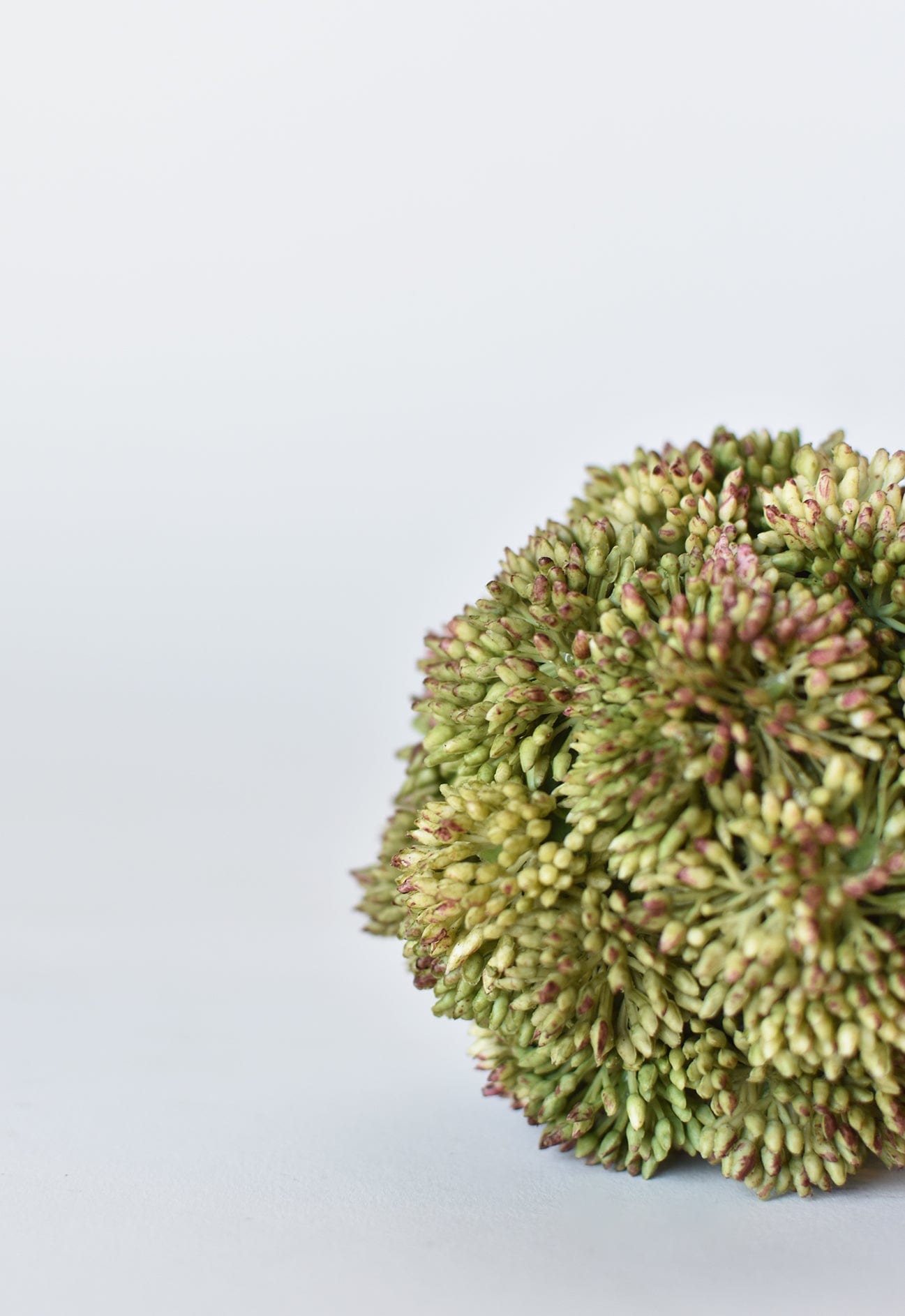 4" Faux Green Sedum Ball (Online exclusive)